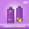 JNR Mega Box 25000 Puffs Disposable Vape (Pudełko 10 szt)